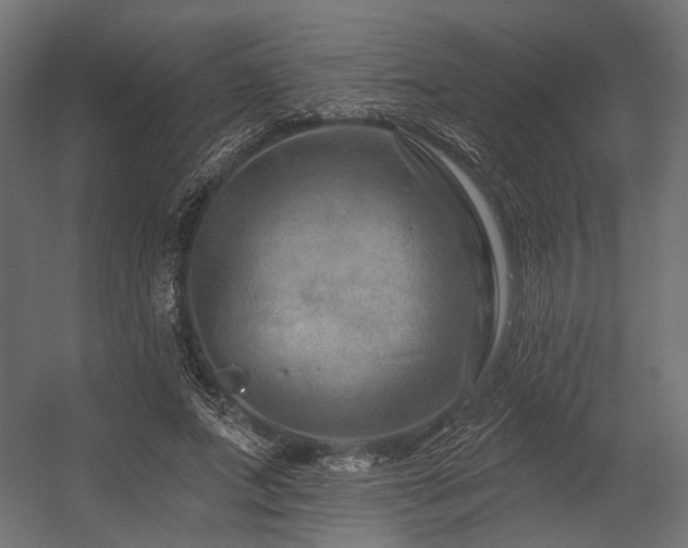 X0000054460687200507291349