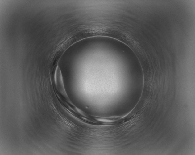 X0000054460689200507291349