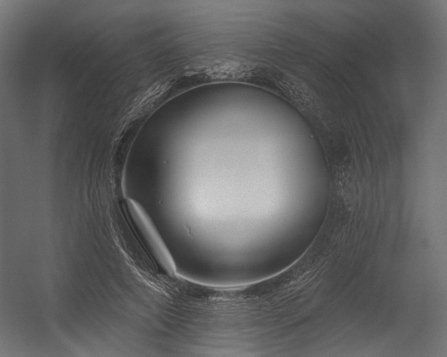 X0000054460690200507291349