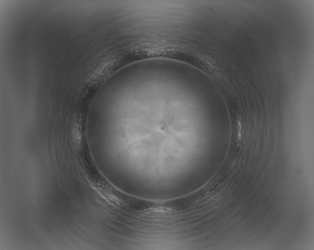 X0000054460691200507291349