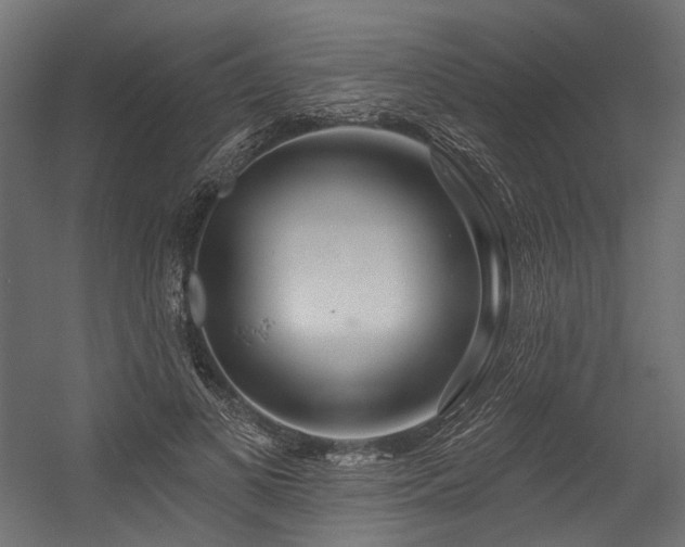 X0000054460693200507291349