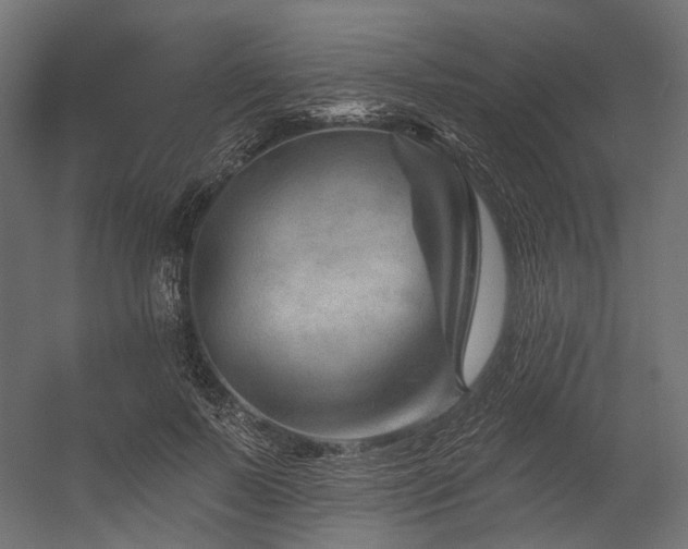 X0000054460695200507291348