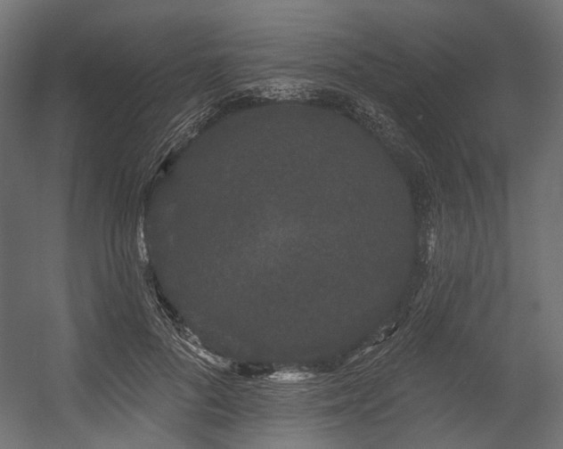 X0000054460696200507291348