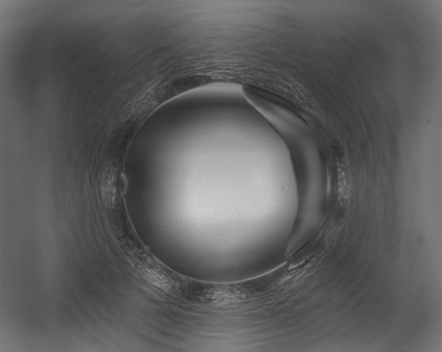 X0000054460697200507291348