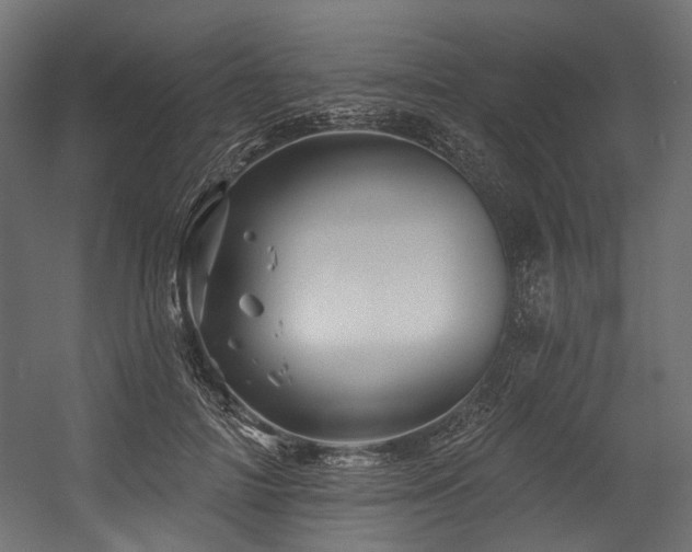 X0000054460698200507291348