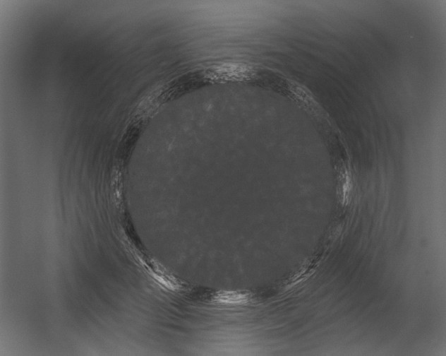 X0000054460701200507291348