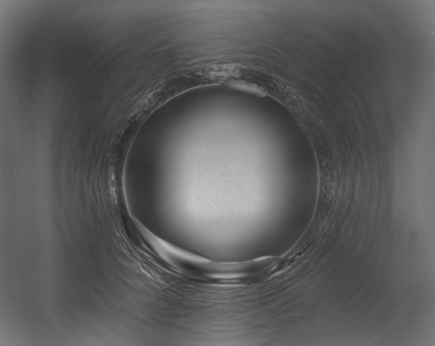 X0000054460704200507291348