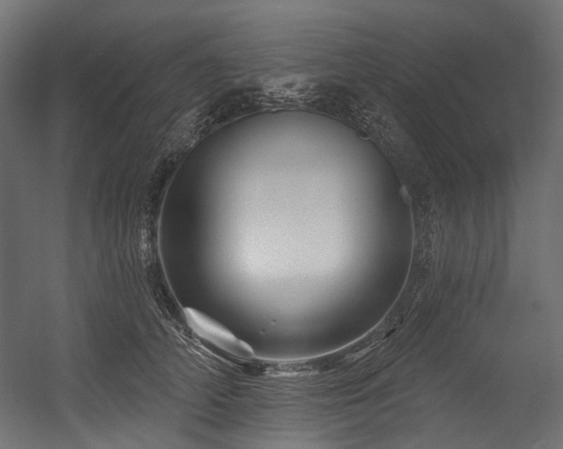 X0000054460706200507291348