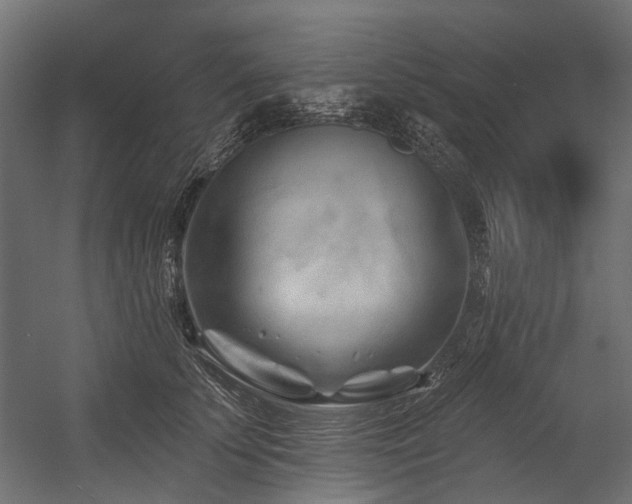 X0000054460707200507291348