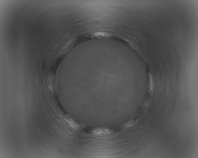 X0000054460712200507291348