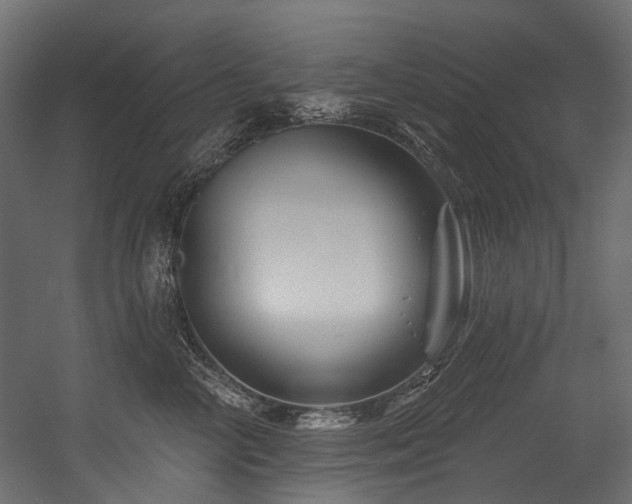 X0000054460714200507291348