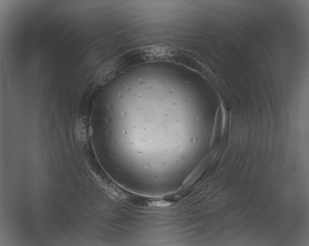 X0000054460715200507291348