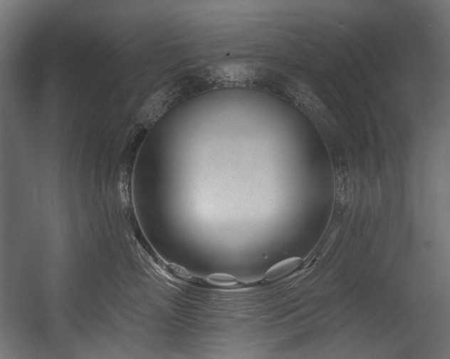 X0000054460718200507291348