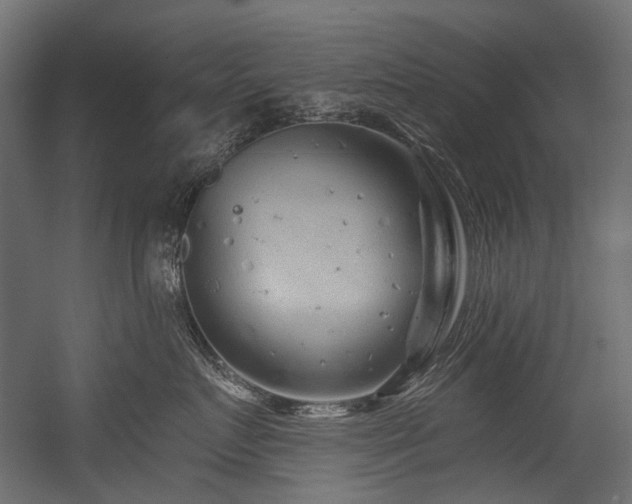 X0000054460719200507291348