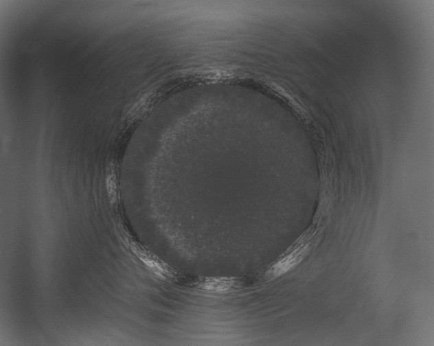 X0000054460720200507291348