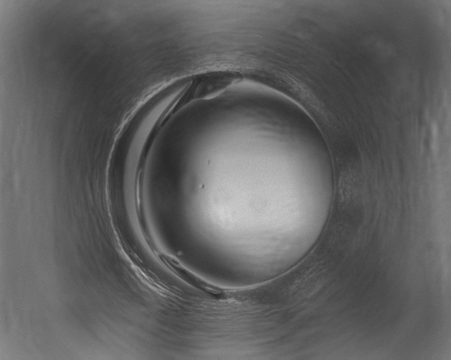 X0000054460722200507291347