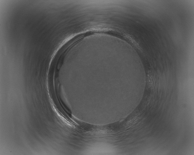 X0000054460726200507291347