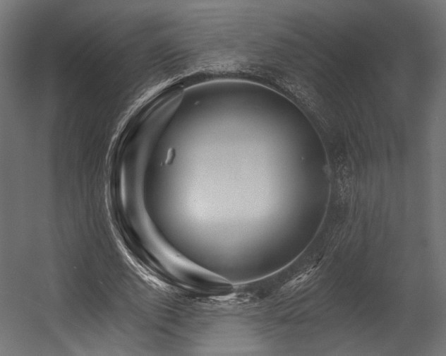 X0000054460728200507291347