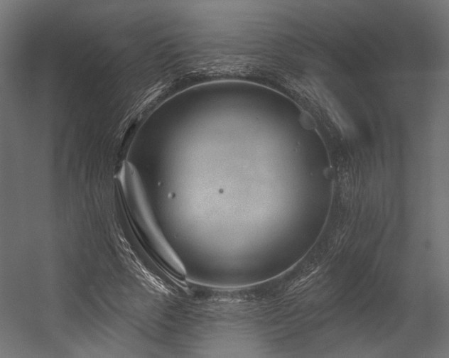 X0000054460729200507291347