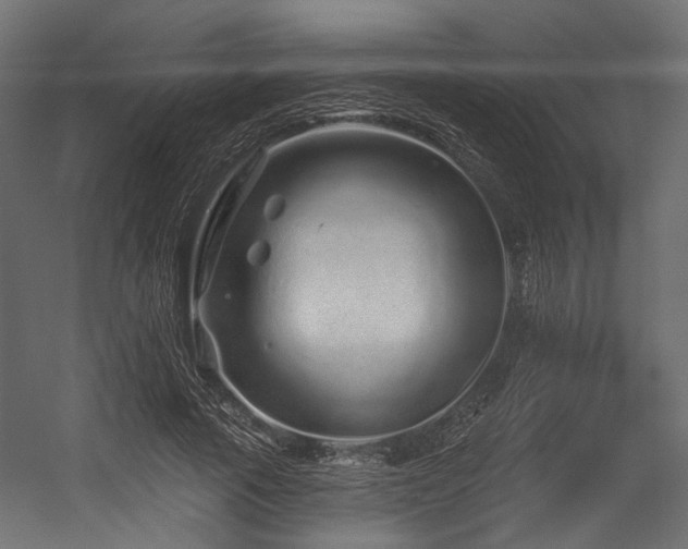 X0000054460737200507291348