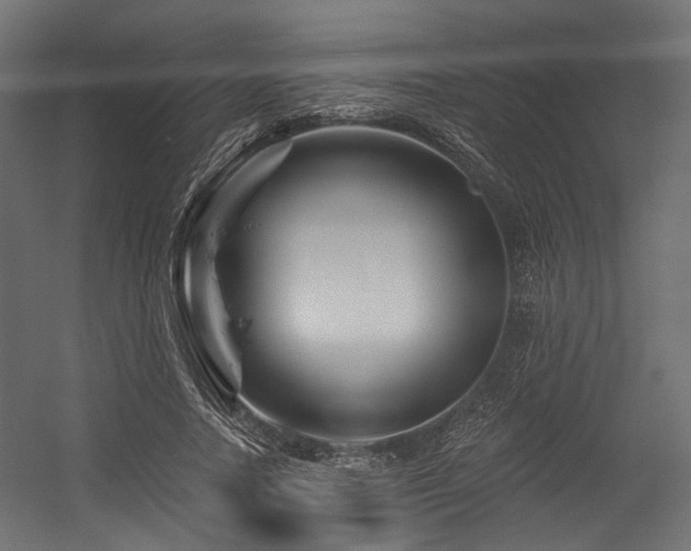 X0000054460738200507291348