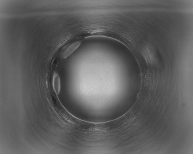 X0000054460739200507291348