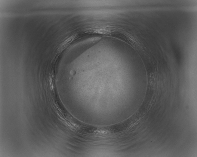 X0000054460741200507291348