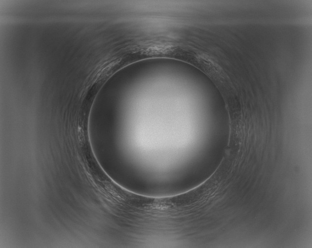 X0000054460743200507291348