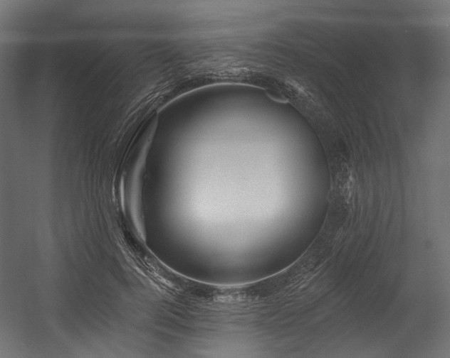 X0000054460744200507291348