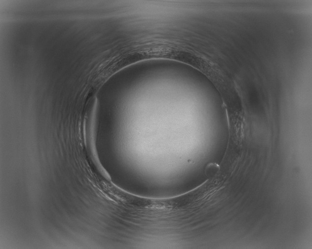 X0000054460745200507291348