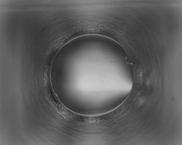 X0000054460746200507291348