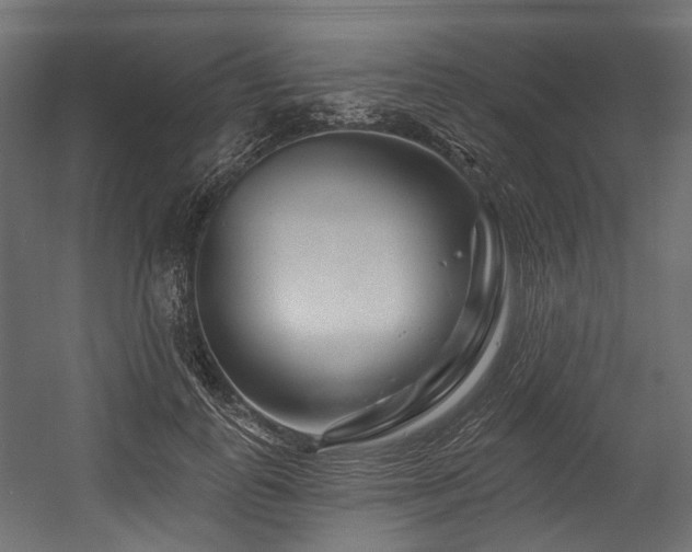 X0000054460747200507291348