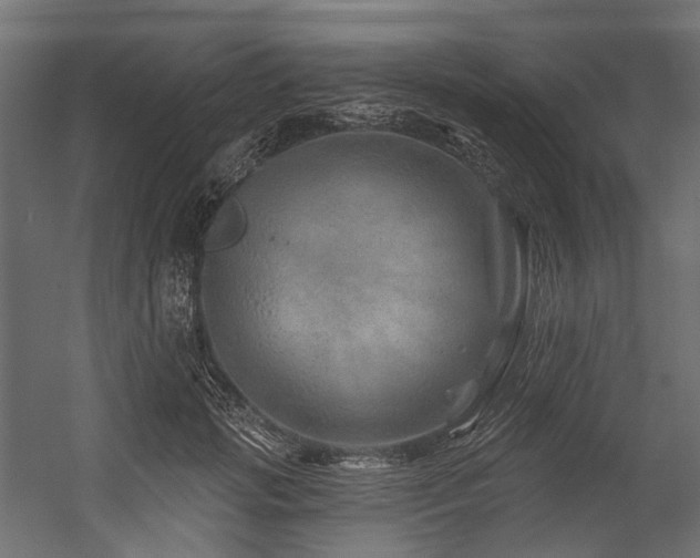 X0000054460749200507291348