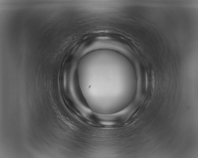 X0000054460750200507291348