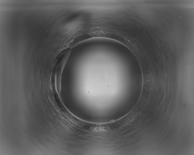 X0000054460751200507291348