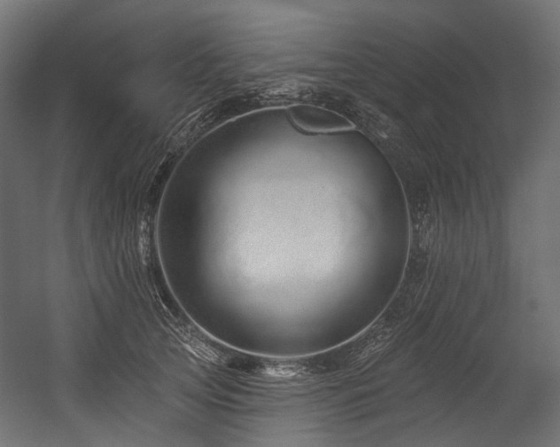 X0000054460753200507291348