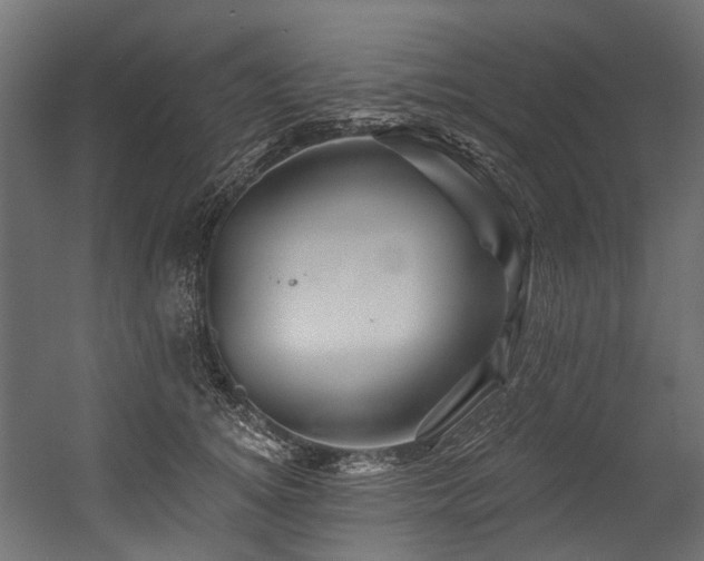 X0000054460756200507291348