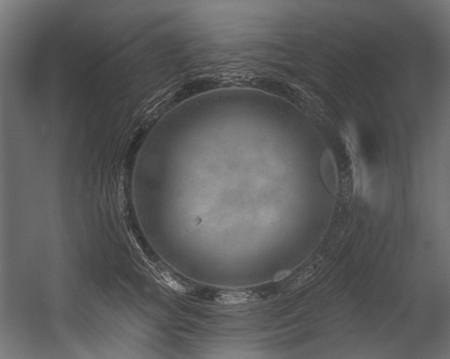 X0000054460757200507291348