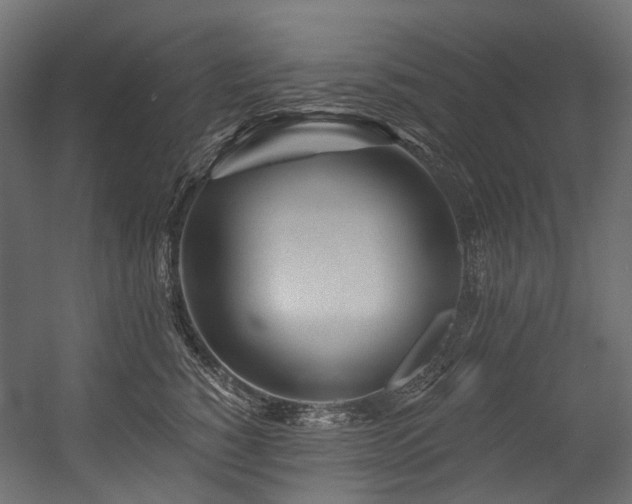 X0000054460760200507291348