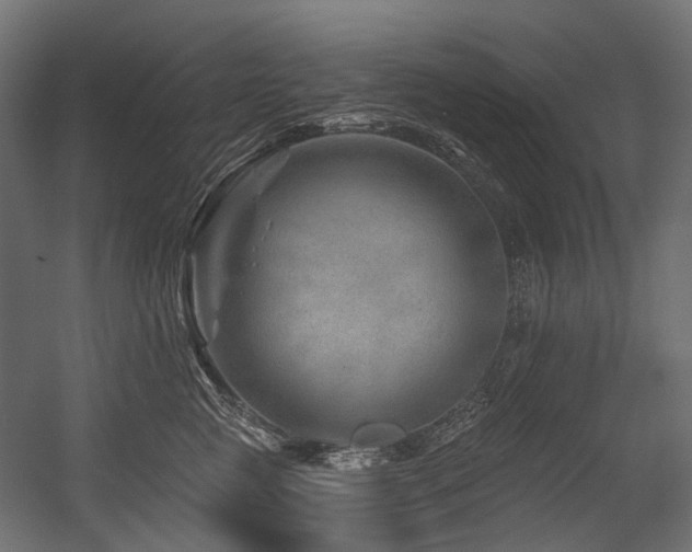 X0000054460761200507291348