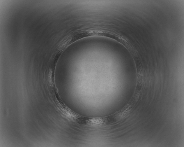 X0000054460765200507291348