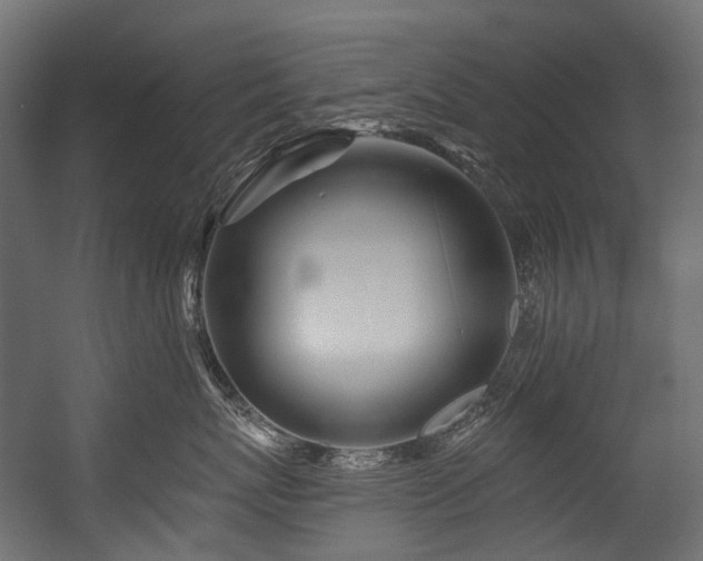 X0000054460767200507291348