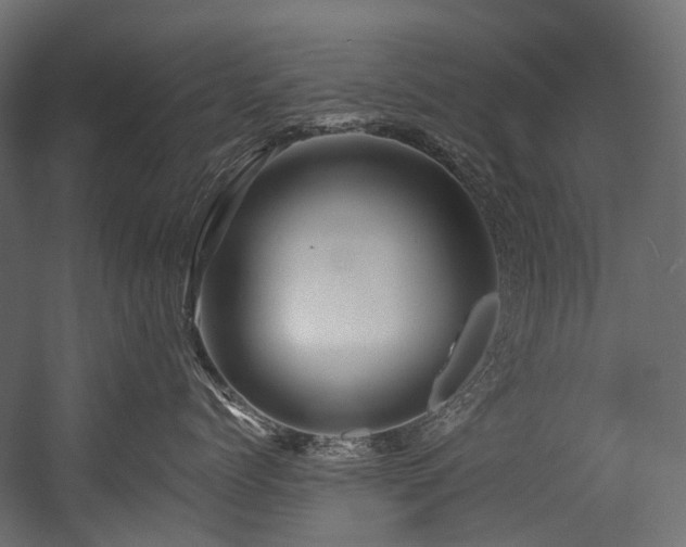 X0000054460768200507291348