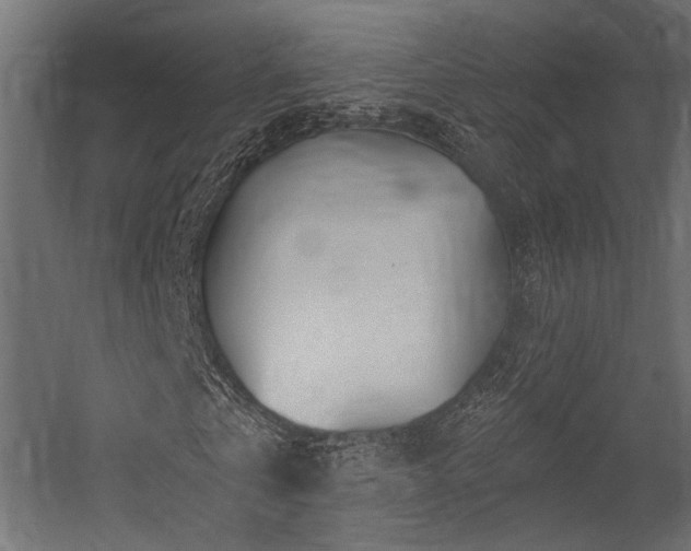 X0000054460769200507291347