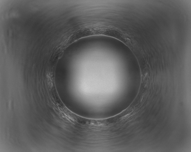 X0000054460772200507291347