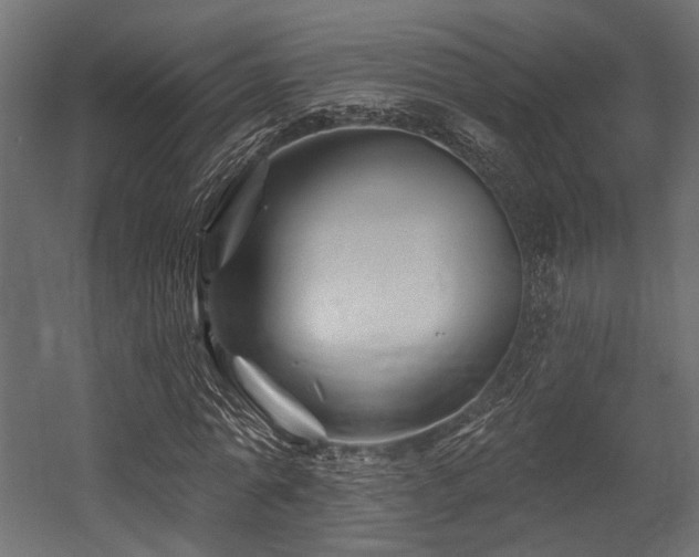 X0000054460774200507291347