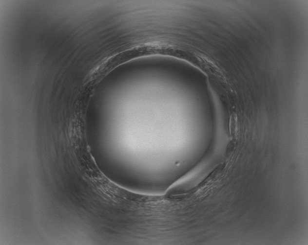 X0000054460776200507291347