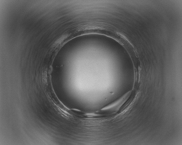 X0000054460777200507291347