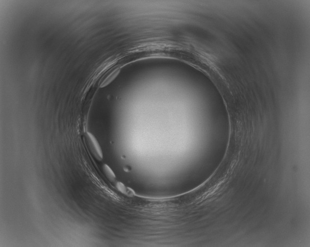 X0000054460778200507291347