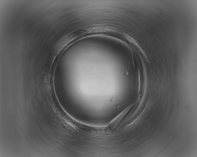 X0000054460786200507291347